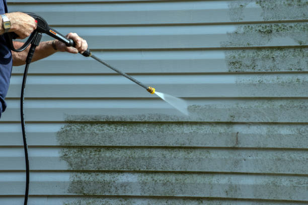 Best Rust Removal  in Ellijay, GA